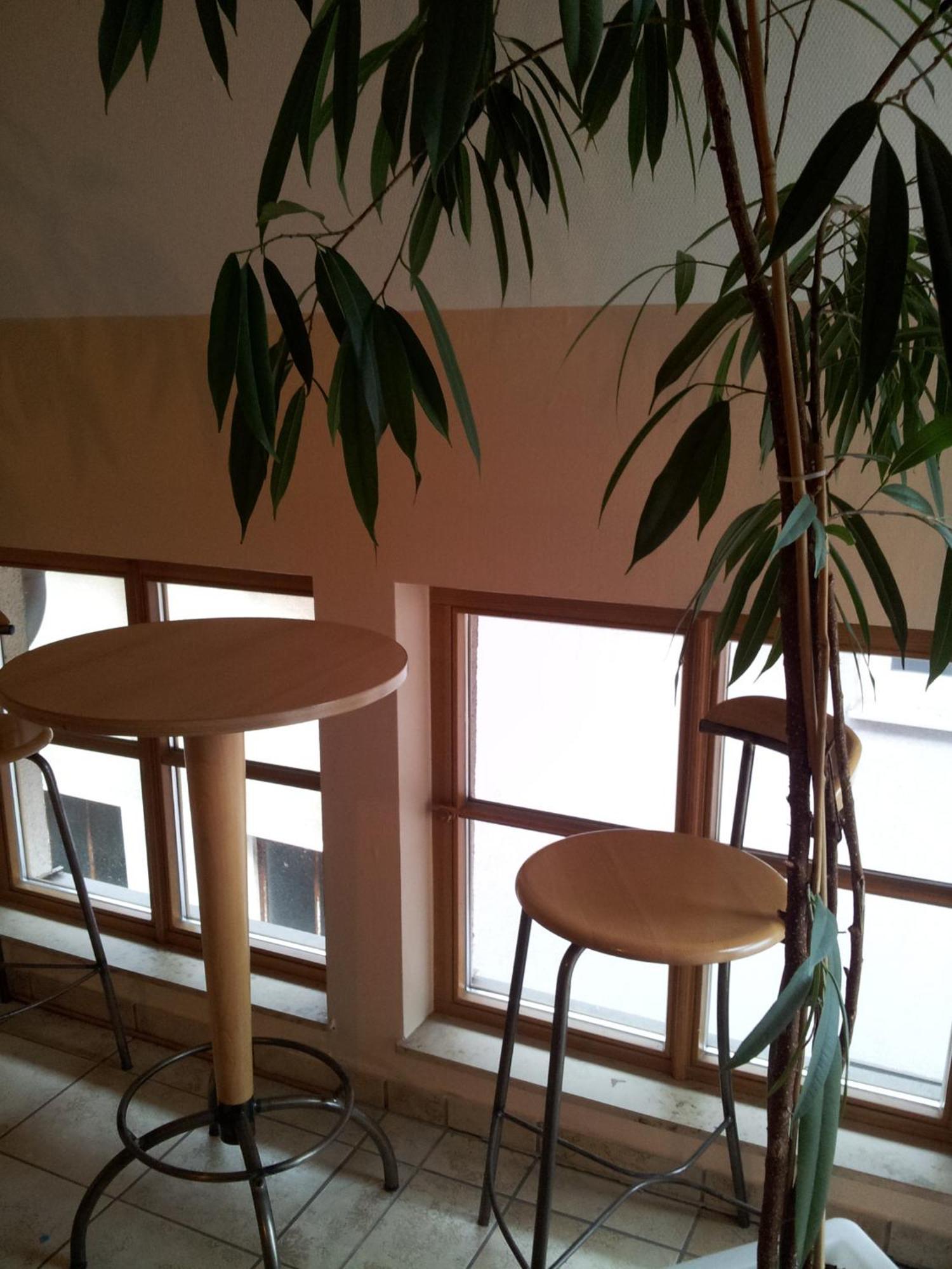 Hotel Zur Frischen Quelle Oberasbach Pokoj fotografie